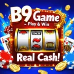 B9 game