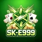 SK-E999 game logo
