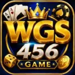 WGS456 Game logo